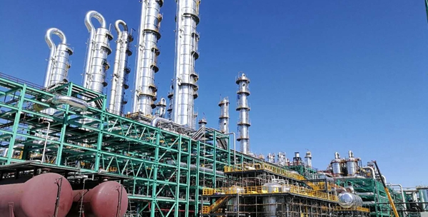 華魯恒升項目喜報