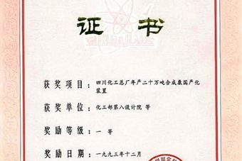 國(guó)家科技進(jìn)步一等獎(jiǎng)