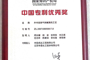 中國(guó)專(zhuān)利優(yōu)秀獎(jiǎng)