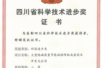 省科技進(jìn)步二等獎(jiǎng)