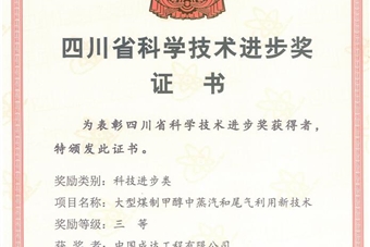 省科技進(jìn)步三等獎(jiǎng)